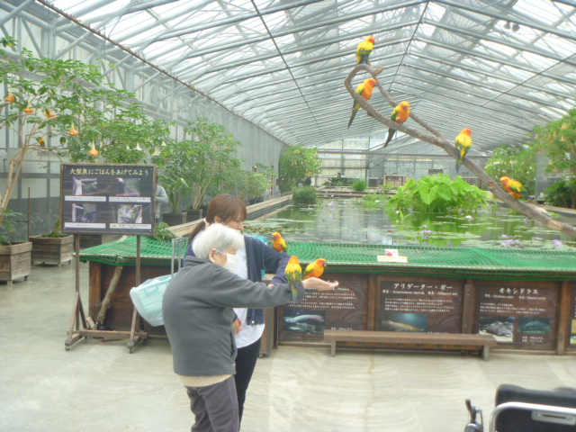 特別養護老人ホーム さやの家