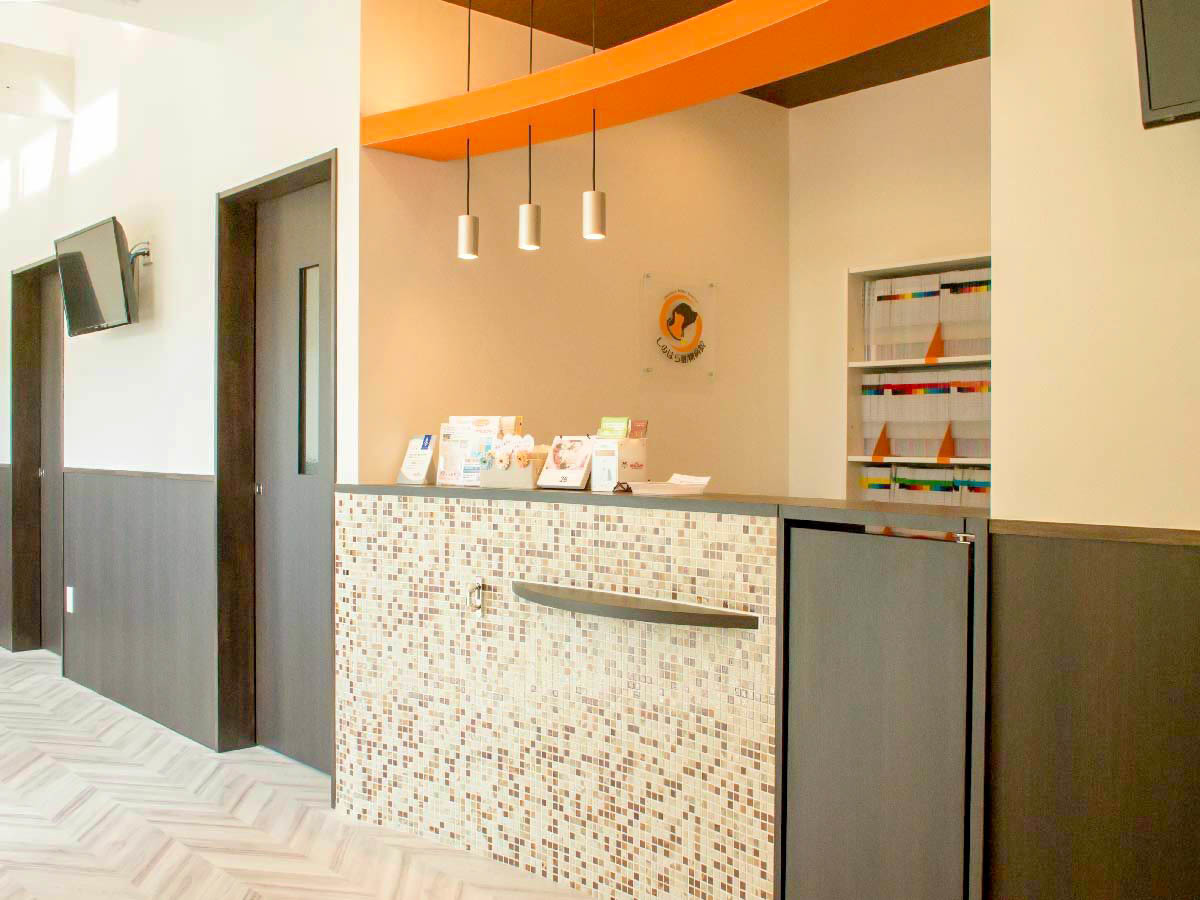 しのはら動物病院