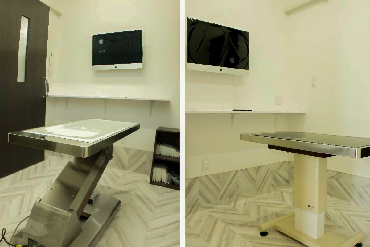 しのはら動物病院