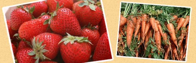 ぎふ農業協同組合