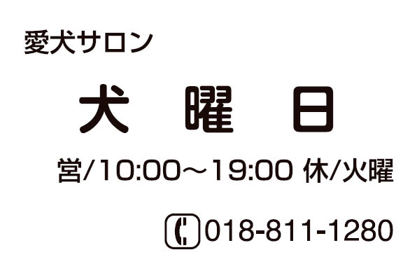 愛犬サロン犬曜日
