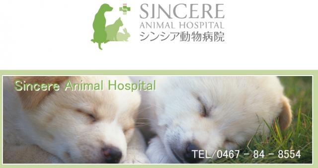 シンシア動物病院