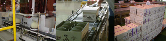 JA茨城旭村 本所