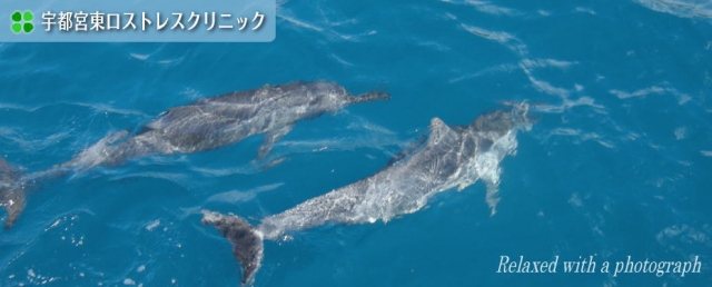 宇都宮東口ストレスクリニック
