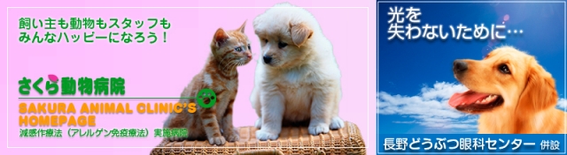 さくら動物病院
