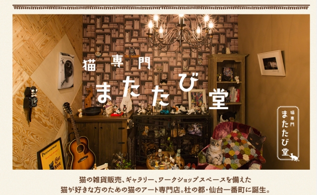猫専門 またたび堂