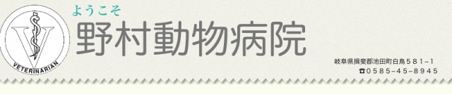 野村動物病院