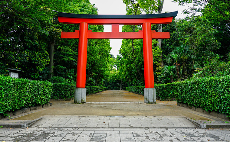 神社参拝のお作法を知る