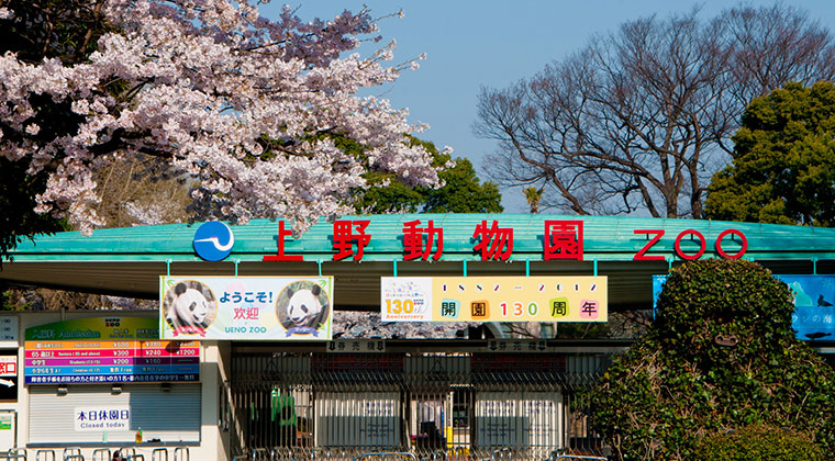 GWこどもの日 子供入場無料①：『恩賜上野動物園』(東京都台東区)